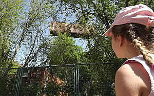 Mädchen beobachtet einen Container in der Luft am Kran