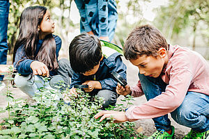 Zwei Kinder beugen sich über ein Beet und betrachten die Pflanzen darin aus der Nähe, ein Mädchen hockt daneben und schaut fragend zu einem Erwachsenen hinauf.