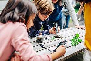 Kind untersucht Pflanzen mit digitalem Mikroskop