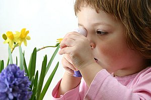 Ein Mädchen untersucht eine Narzissenblüte mit der Lupe
