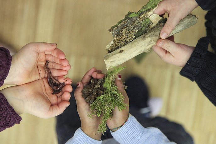 Kinder halten Regemwürmer und Moos in ihren Händen